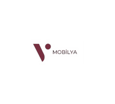 V Mobilya
